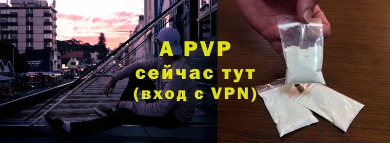 A PVP СК КРИС  Краснодар 